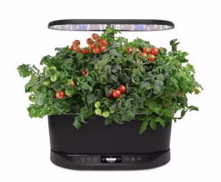 AeroGarden Bounty Basic