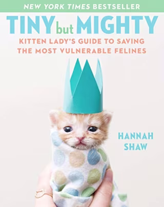 Tiny But Mighty