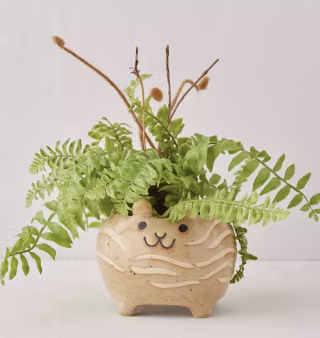 Chunky Cat PlanterUrban Outfitters Chunky Cat Planter
