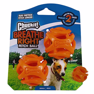 Chuckit! Breathe Right Fetch 2 Ball Set
