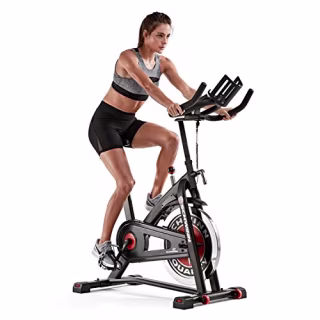 Schwinn IC3 Indoor Exercise Bike