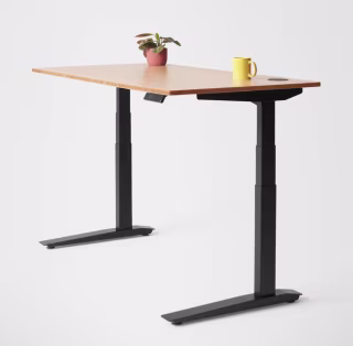 Fully Jarvis Bamboo Standing Desk