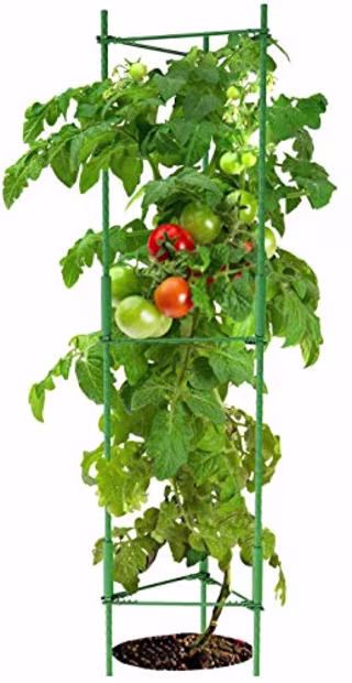 K-Brands Tomato Cage