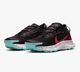 Nike Pegasus Trail 3 GORE-TEX