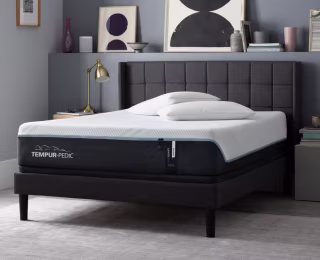 Tempur-Pedic Tempur-ProAdapt Soft Mattress