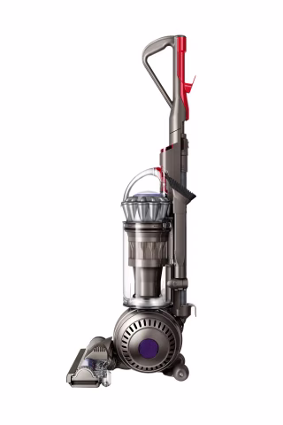 Dyson Ball Animal 2 pet vacuum cleaner