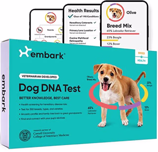 Embark Dog DNA Test