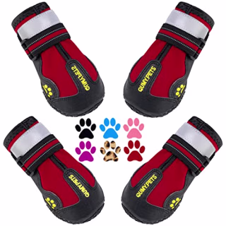 QUMY Dog Shoes