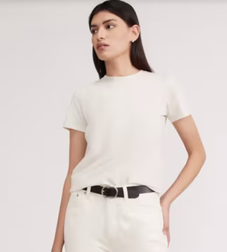 Everlane The Organic Cotton Crew Tee