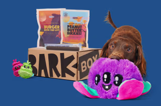 Barkbox