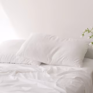 Cozy Earth Bamboo Sheet Set
