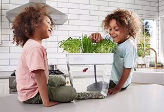 Water Garden, Self-Cleaning Fish Tank That Grows Food, Mini Aquaponic Ecosystem (Great Gardening Gift & Family Project)