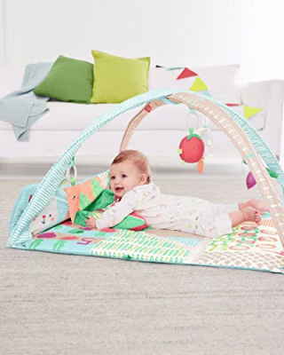 Skip Hop Farmstand Grow & Play Activity Gym