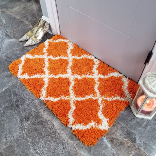 Trellis Orange Shag Door Mat