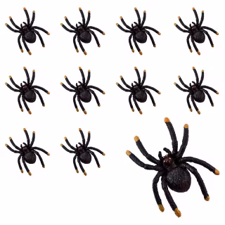 Black and Orange Tip Spiders