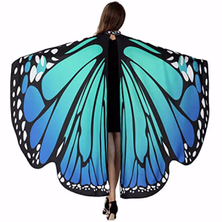 Hitop Butterfly Wings