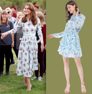 Floral Printed Chiffon Mini Dress