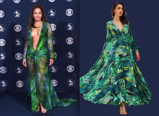 Chiffon Print Long Sleeve Maxi Dress