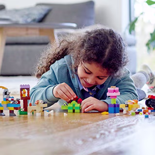 LEGO Classic Basic Brick Set
