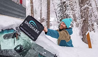 Collapsible Paddle Snow Removal Tool