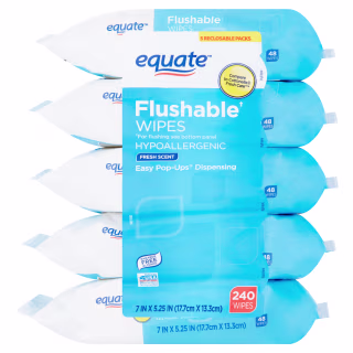 Equate Flushable Wipes