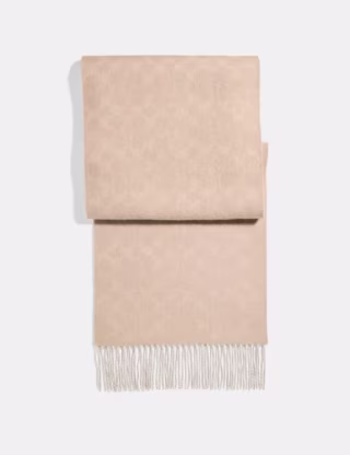 reversible signature cashmere muffler