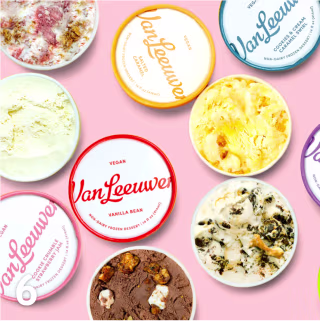 Van Leeuwen Vegan Ice Cream Six Pack