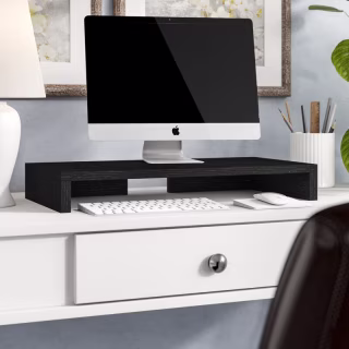 Winston Porter Computer Monitor Stand
