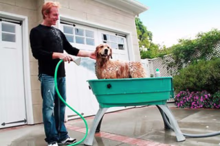 Booster Bath Elevated Dog Bathing and Grooming Center