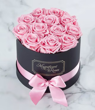 Magnificent Roses Preserved Pink Roses