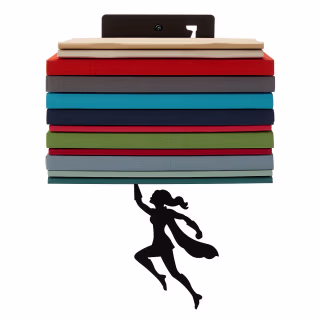Heroine Bookshelf