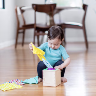 Lovevery Play Kits