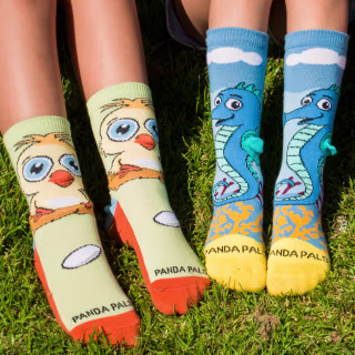 Sock Panda Kids Subscription