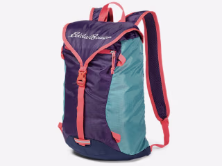 Eddie Bauer Stowaway Packable Ruck Pack