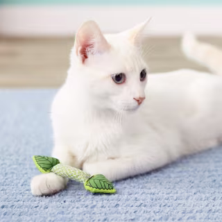 Petstages Fresh Breath Mint Stick Cat Chew Toy