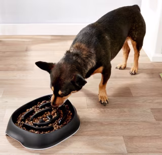 Frisco Non-Skid Slow Feeder Dog Bowl