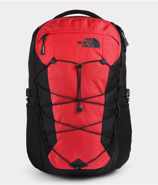 The North Face Borealis Backpack