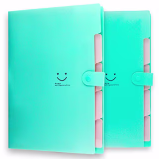 Filly Wink Placstic Expanding File Folders