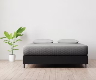 Zoma Queen Mattress