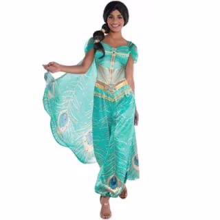 Party City Jasmine Whole New World Costume