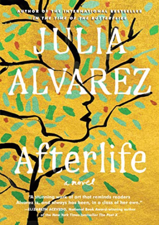 Afterlife