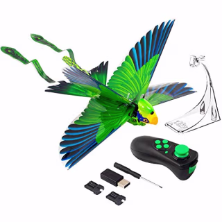 Zing Go Go Bird