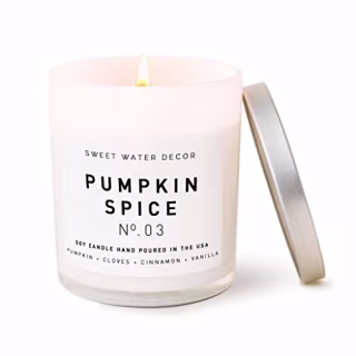 Sweet Water Decor Soy Candles