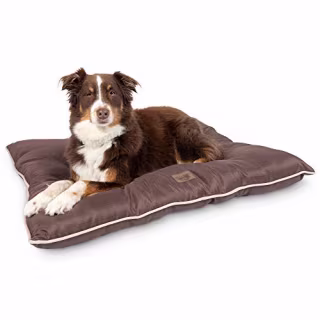 Pet Craft Supply Super Snoozer