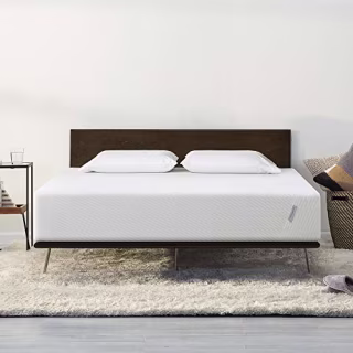 Tuft &amp; Needle Queen Adaptive Foam Mattress
