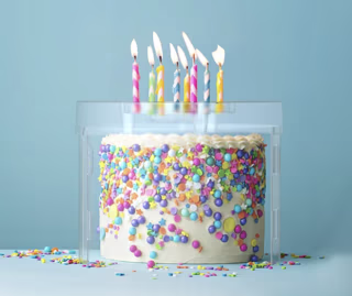 Top It Cake Shield