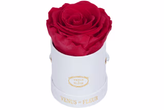 Eternity De Venus Le Mini Round Eternity Rose