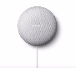 Google Nest Mini Smart Speaker