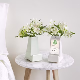 Bedside Smartphone Vase