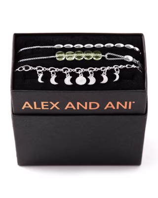 Alex and AniLunar Phase Bracelet Gift Set, Silver